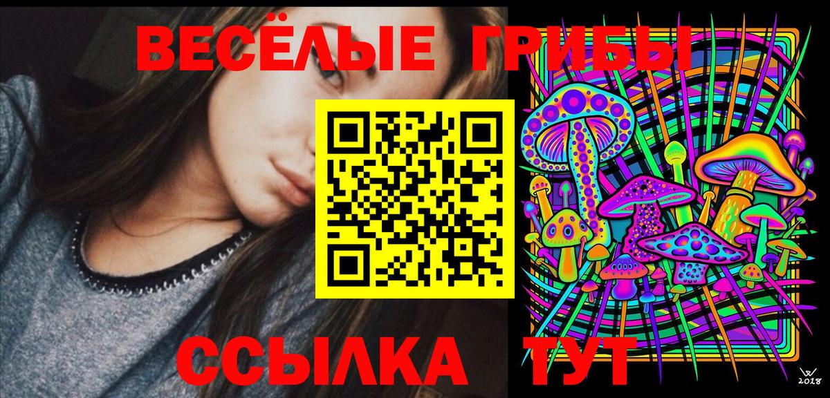 Псилоцибиновые грибы Cubensis  Вход с VPN  Ейск 